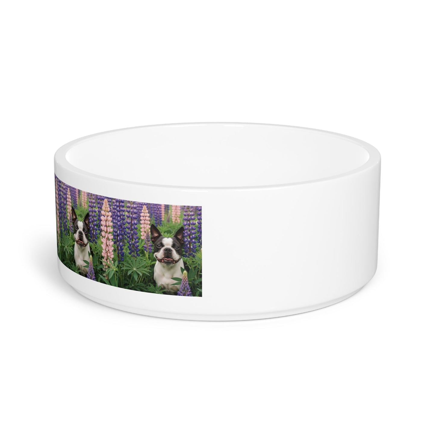 Ceramic Pet Bowl – 16 oz Dog Feeding Bowl