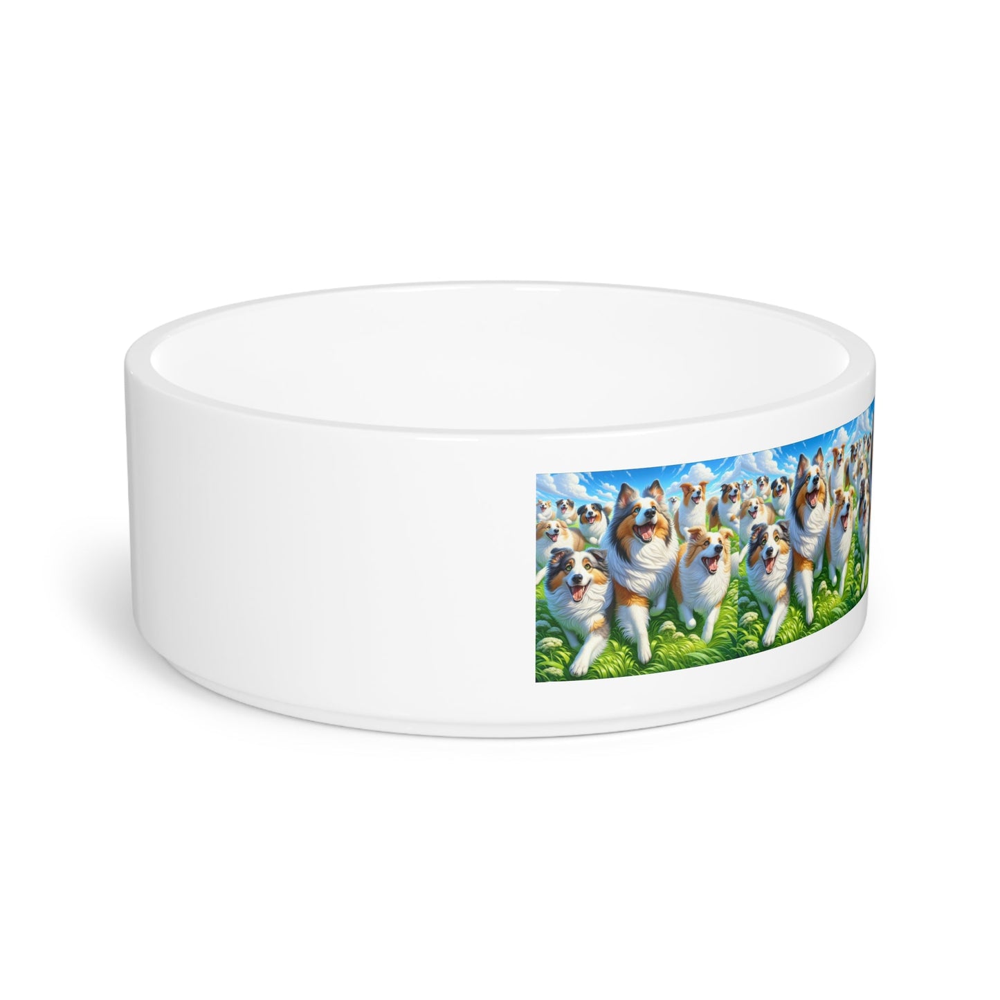 Gamelle en céramique pour animaux de compagnie – Gamelle de 47 cl pour chien