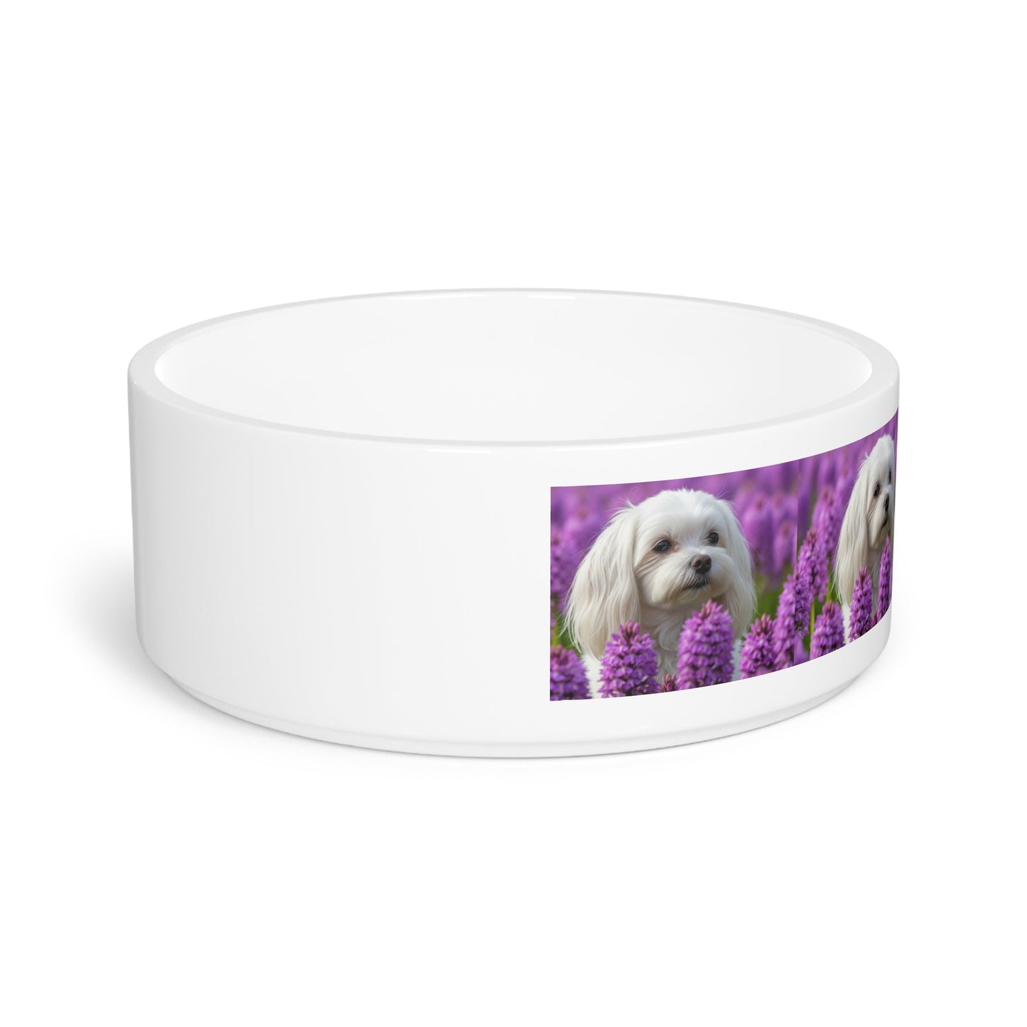 Ceramic Pet Bowl – 16 oz Dog Feeding Bowl