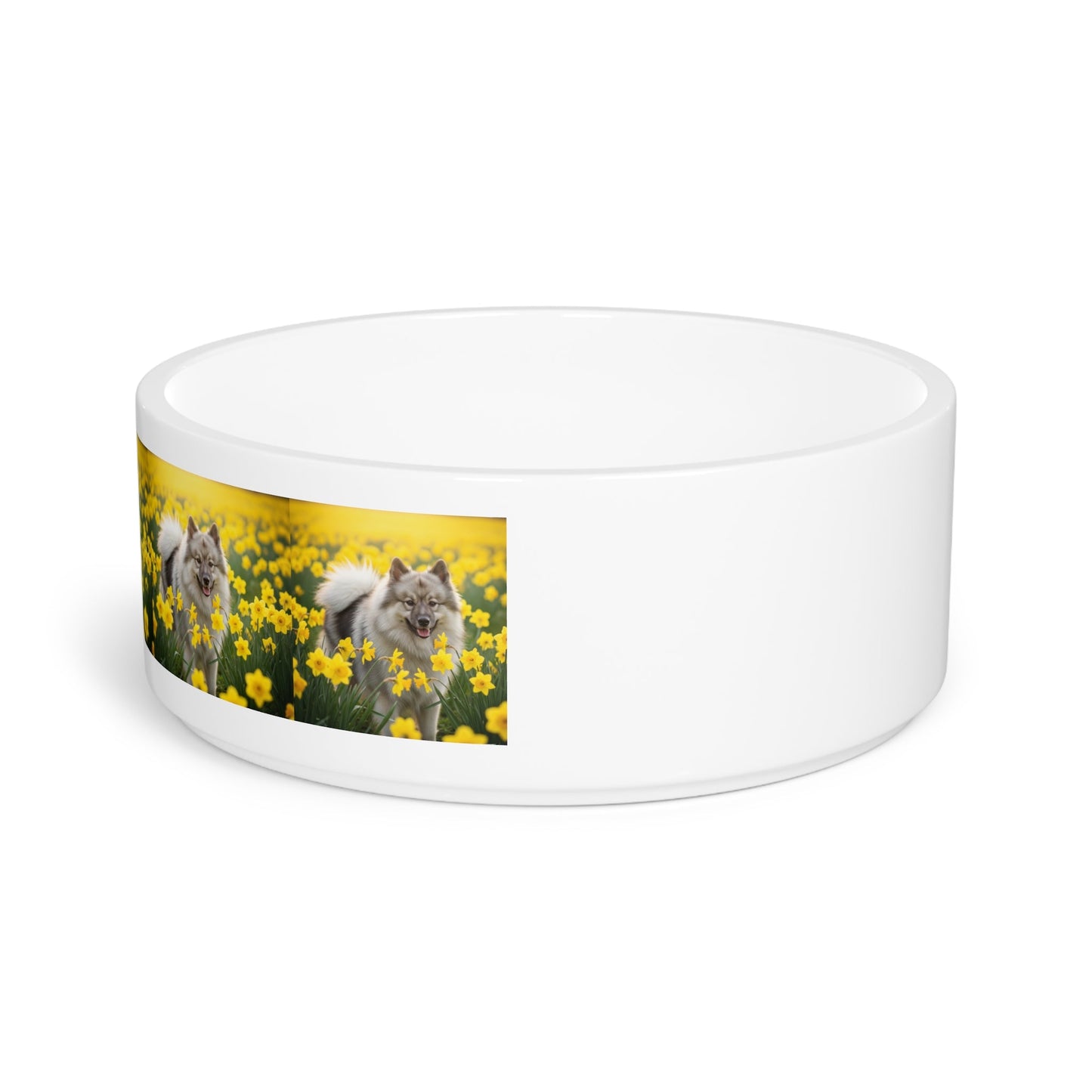 Keramik-Haustierschale – 450 ml Futterschale für Hunde