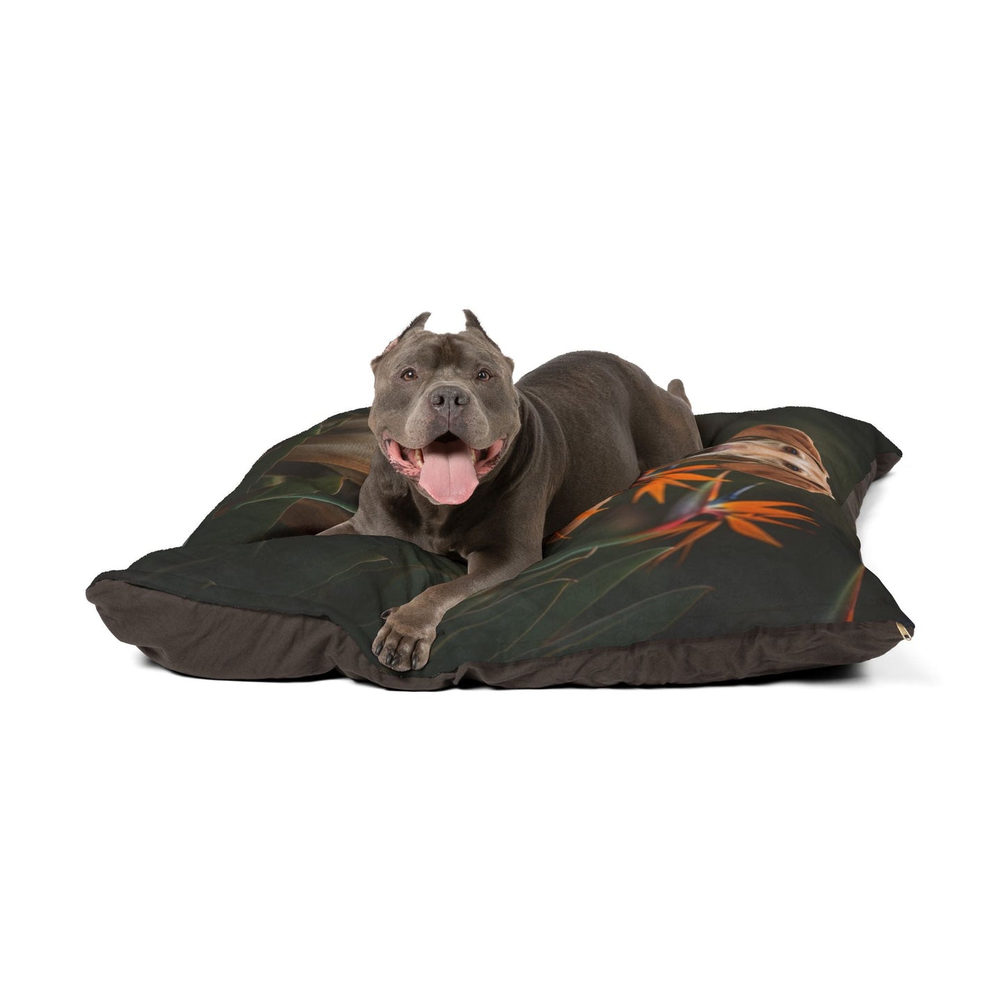 Lit pour animaux de compagnie – Lit douillet pour chien, 3 tailles disponibles
