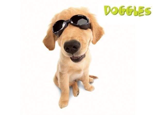 Doggles ILS Protective Dog Eyewear