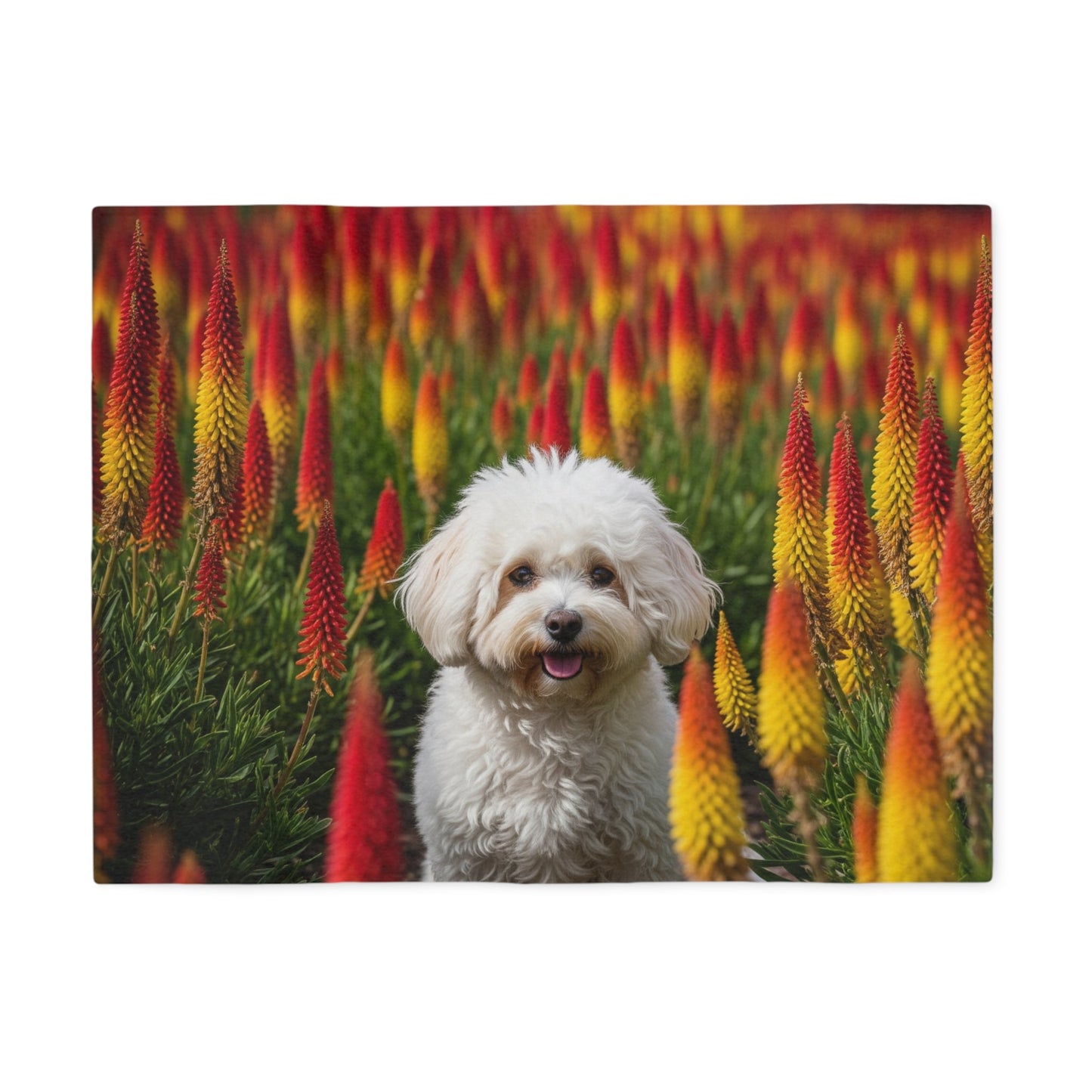 Sweatshirt Blanket – Plush Fleece Throw, 2 Size Options