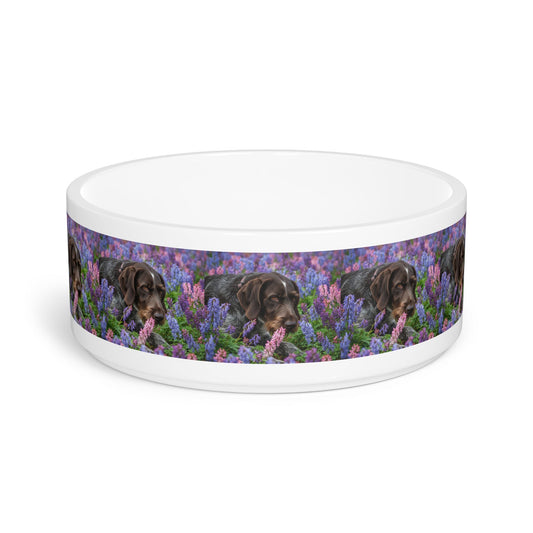 Ceramic Pet Bowl – 16 oz Dog Feeding Bowl