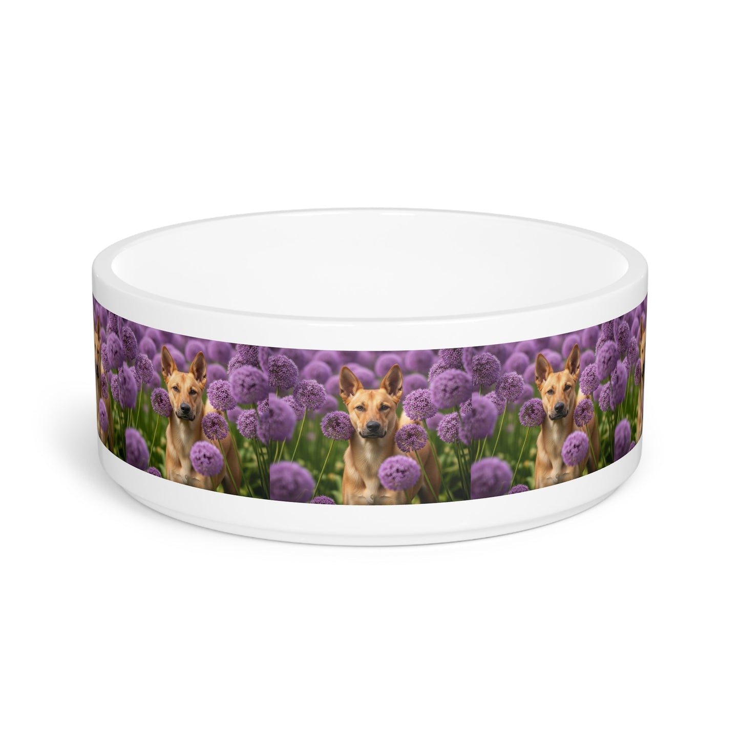 Ceramic Pet Bowl – 16 oz Dog Feeding Bowl