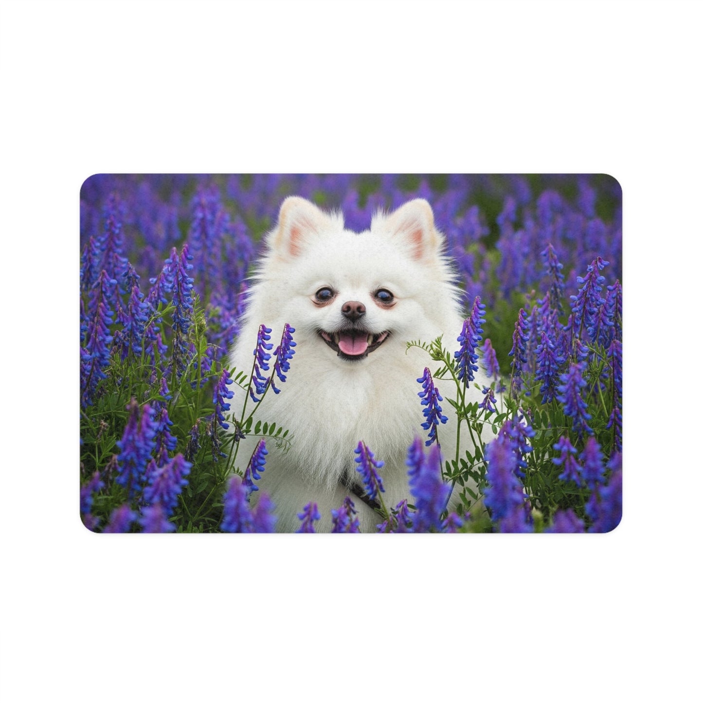 Tapis antidérapant pour animaux de compagnie – Tapis d'alimentation étanche pour chiens