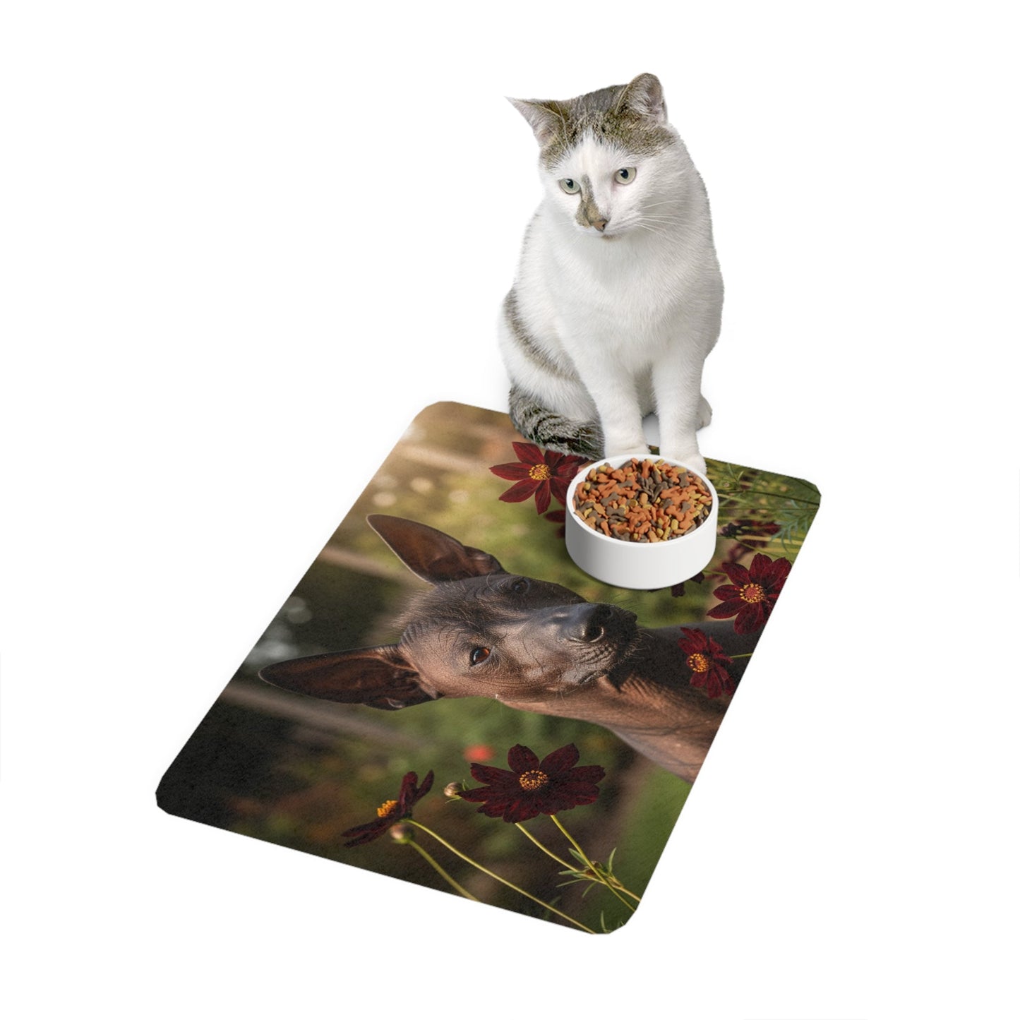 Tapis antidérapant pour animaux de compagnie – Tapis d'alimentation étanche pour chiens