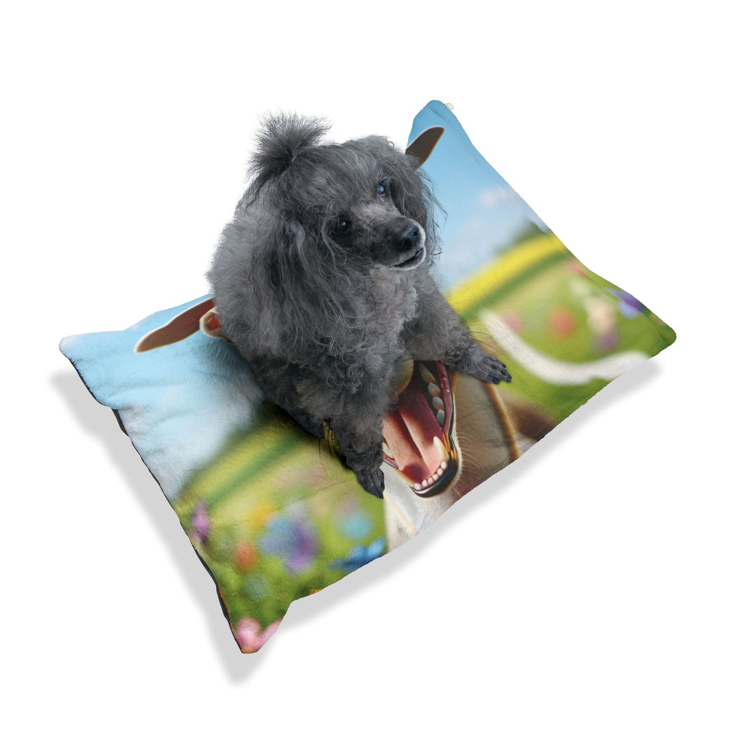 Lit pour animaux de compagnie – Lit douillet pour chien, 3 tailles disponibles