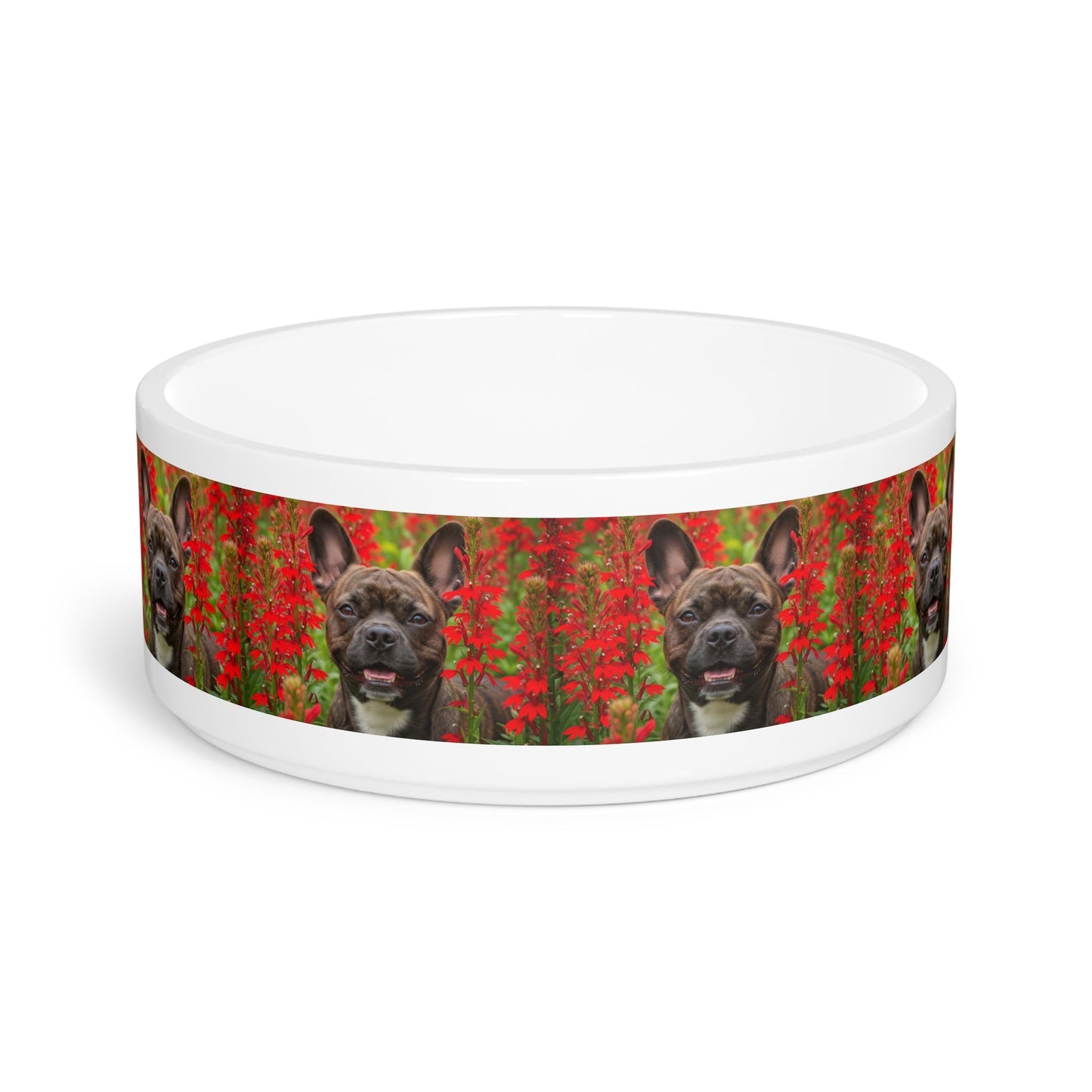 Gamelle en céramique pour animaux de compagnie – Gamelle de 47 cl pour chien