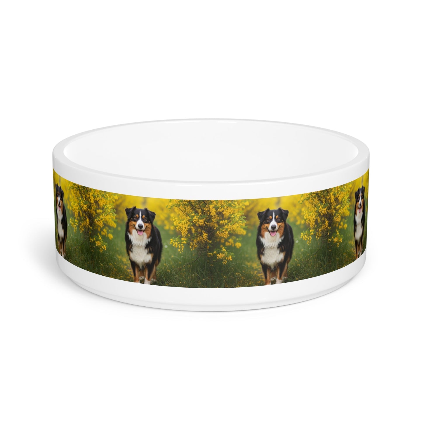 Ceramic Pet Bowl – 16 oz Dog Feeding Bowl