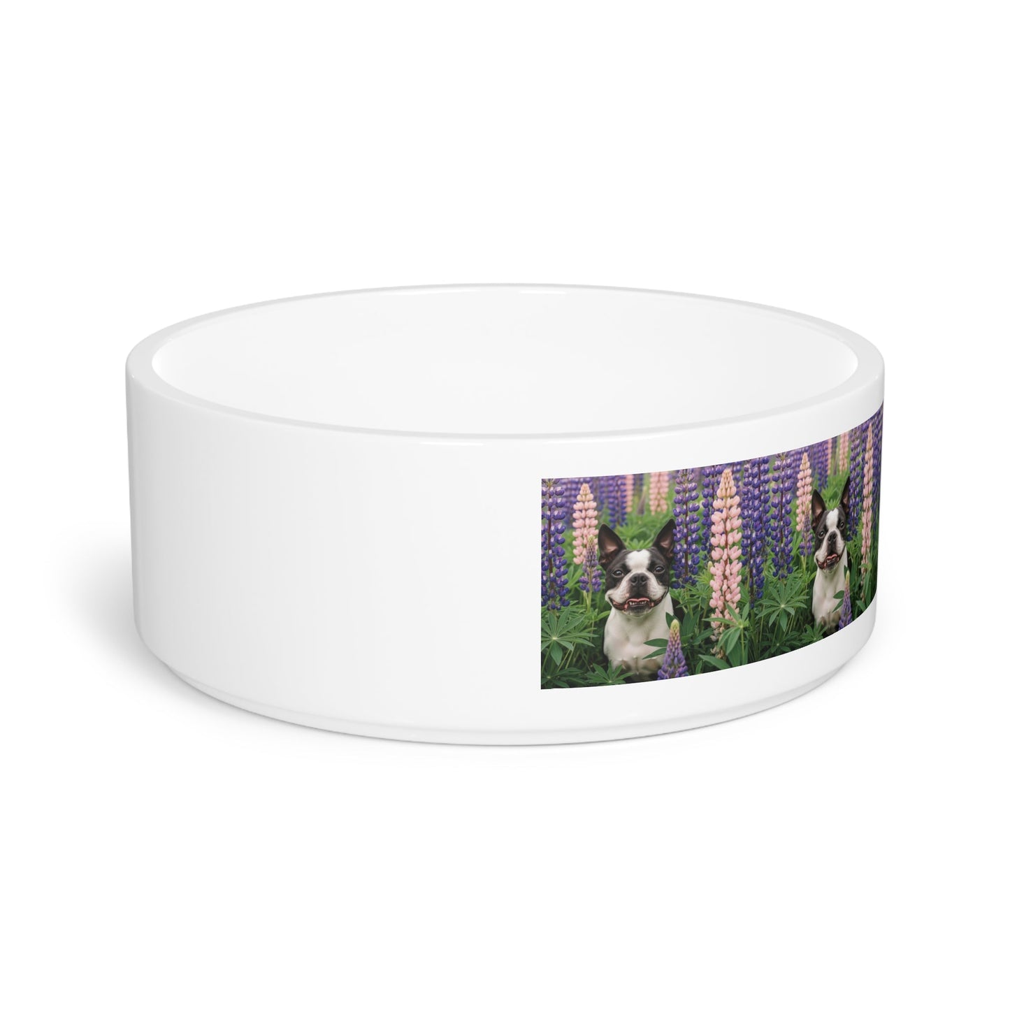 Ceramic Pet Bowl – 16 oz Dog Feeding Bowl