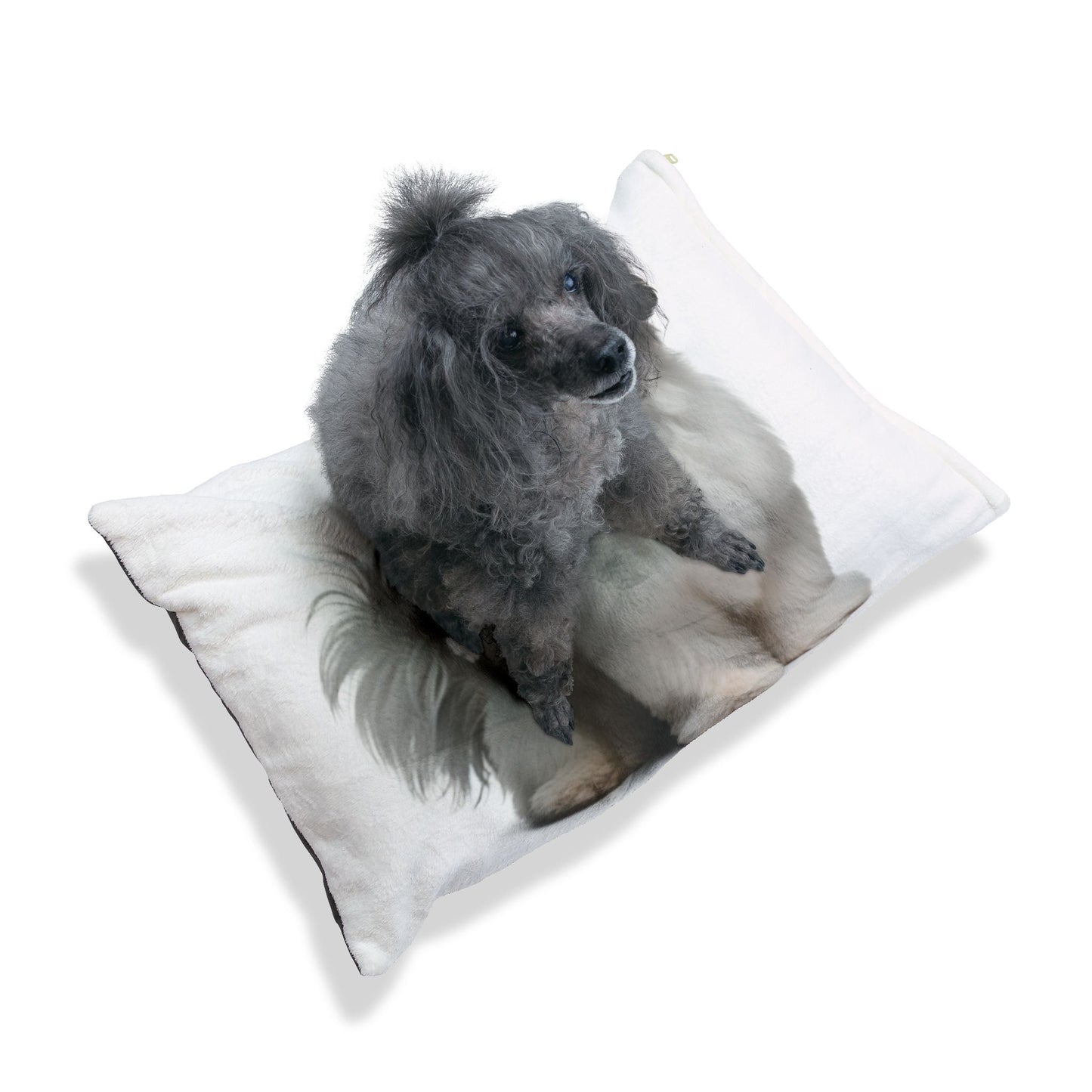 Lit pour animaux de compagnie – Lit douillet pour chien, 3 tailles disponibles