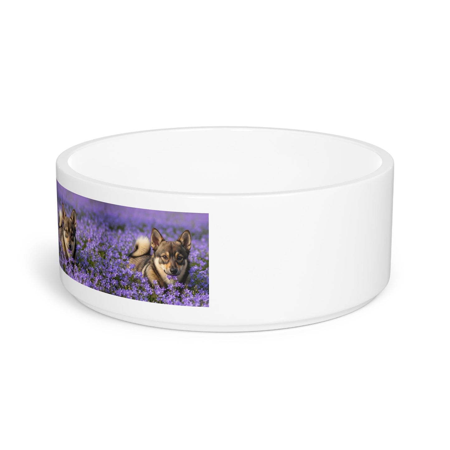 Ceramic Pet Bowl – 16 oz Dog Feeding Bowl