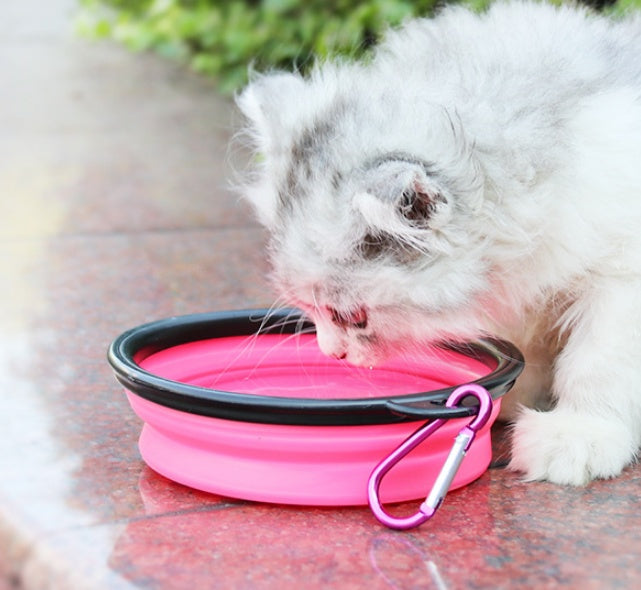 2-in-1 Pet Water Bottle Dispenser with Silicone Bowl