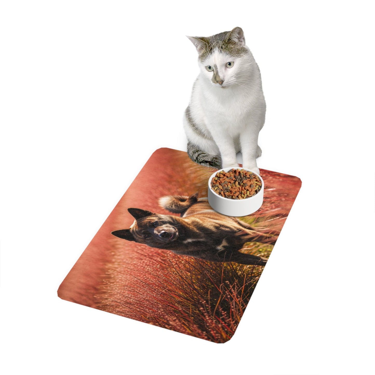 Tapis antidérapant pour animaux de compagnie – Tapis d'alimentation étanche pour chiens