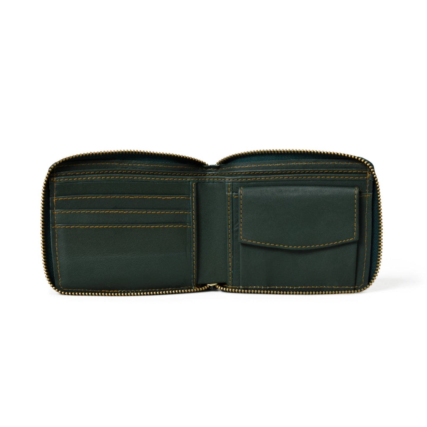 Portefeuille pliant Adams – Vert