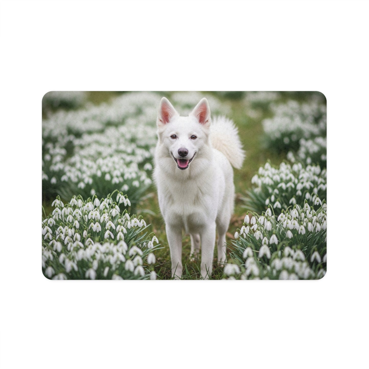 Non-Slip Pet Food Mat – Waterproof Feeding Mat for Dogs