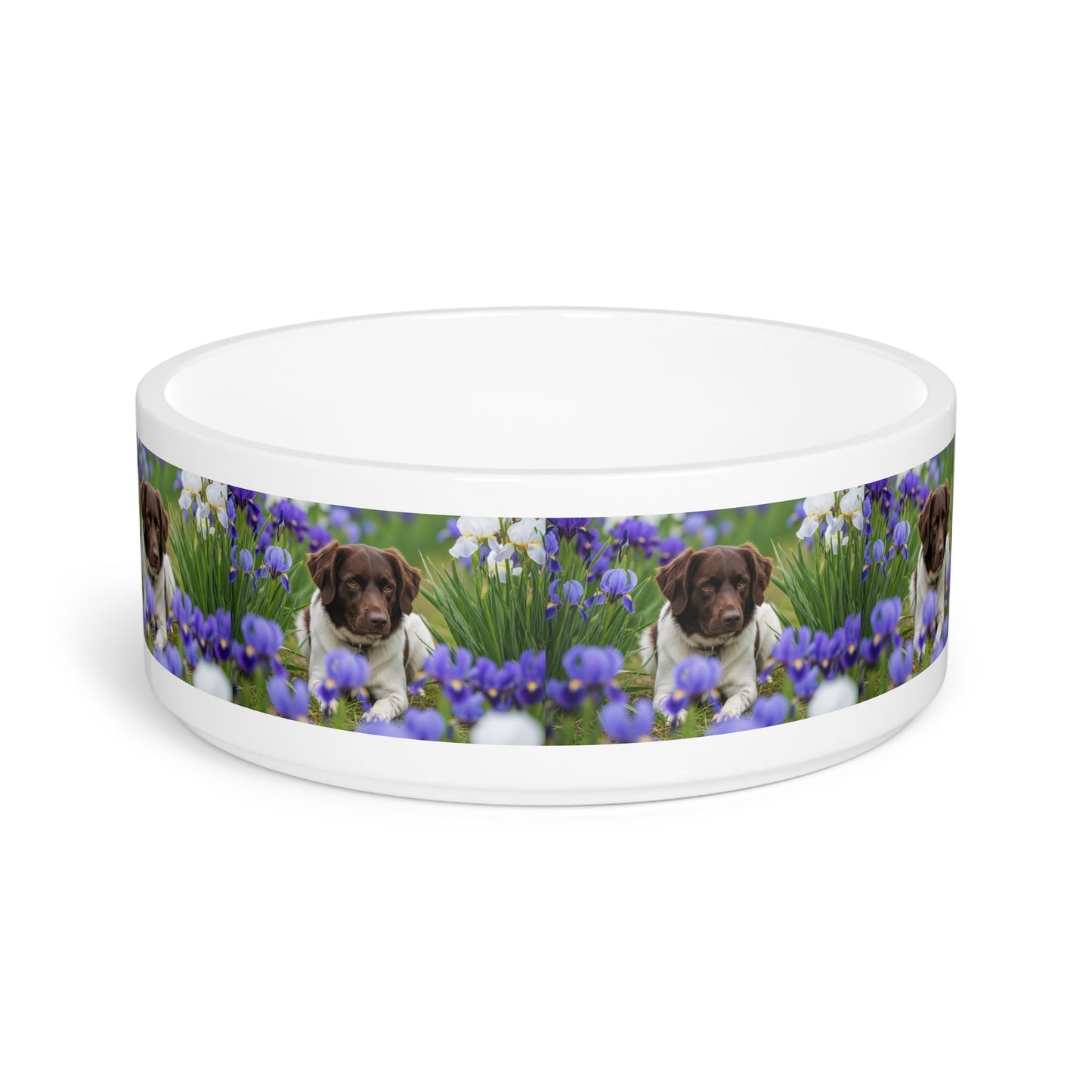 Ceramic Pet Bowl – 16 oz Dog Feeding Bowl