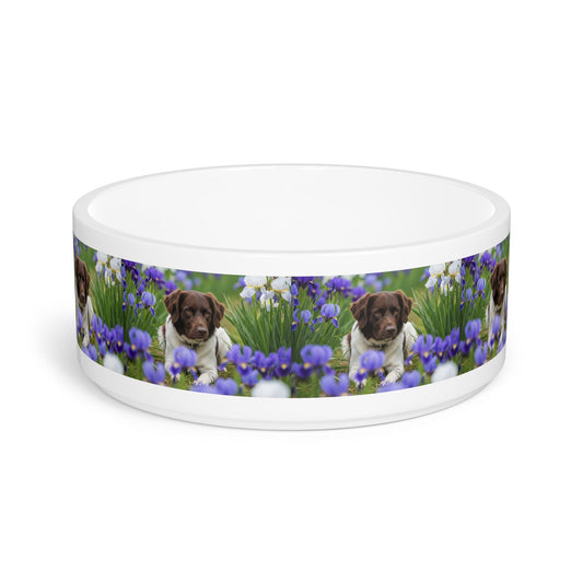 Ceramic Pet Bowl – 16 oz Dog Feeding Bowl