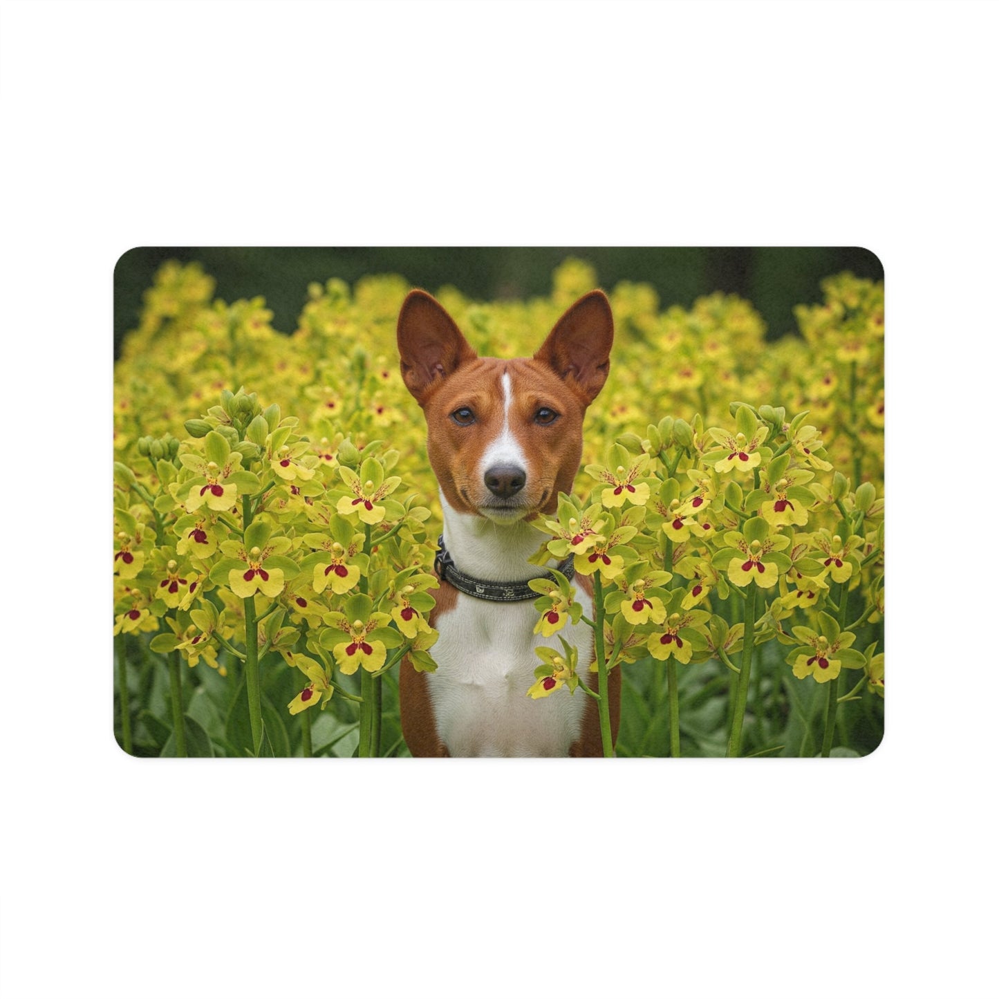 Non-Slip Pet Food Mat – Waterproof Feeding Mat for Dogs