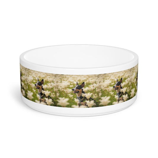 Ceramic Pet Bowl – 16 oz Dog Feeding Bowl