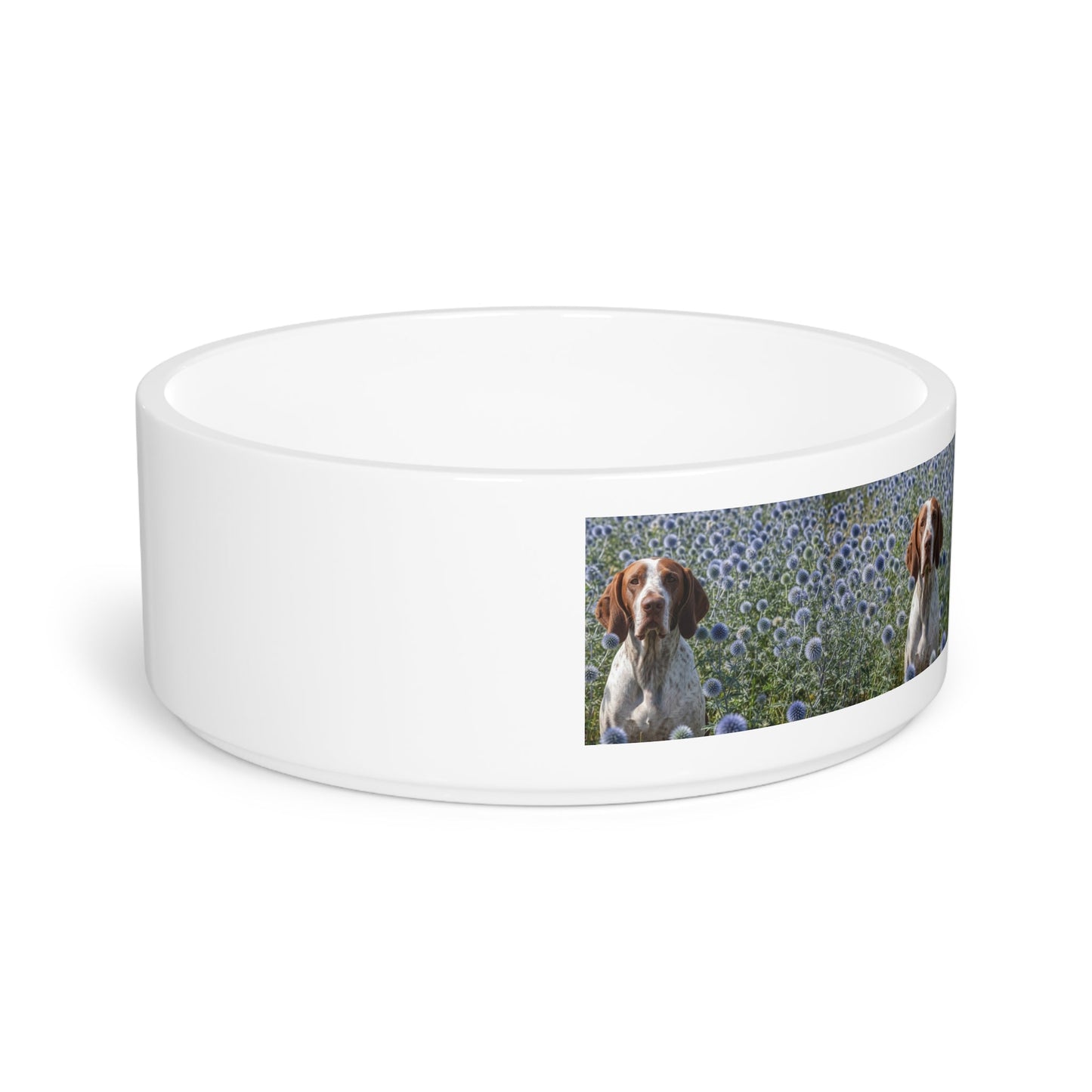 Ceramic Pet Bowl – 16 oz Dog Feeding Bowl