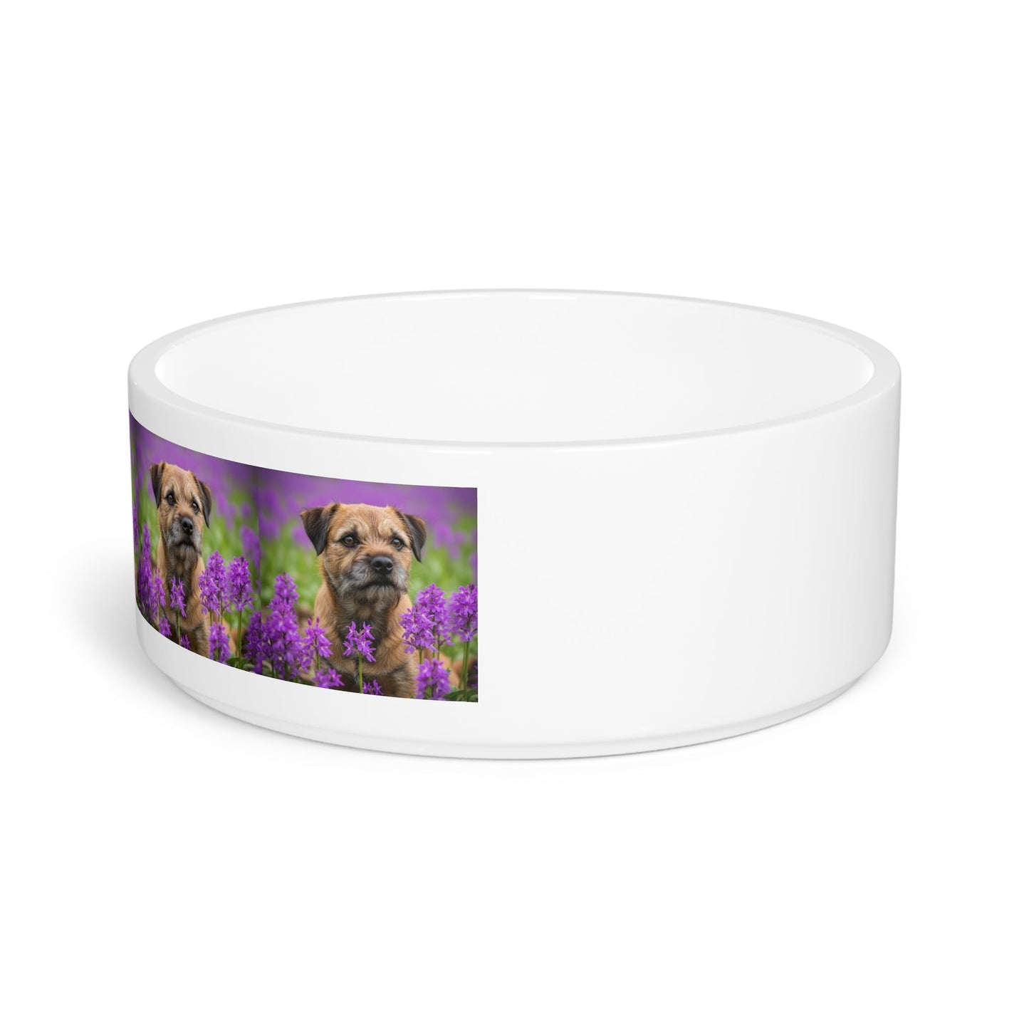 Gamelle en céramique pour animaux de compagnie – Gamelle de 47 cl pour chien