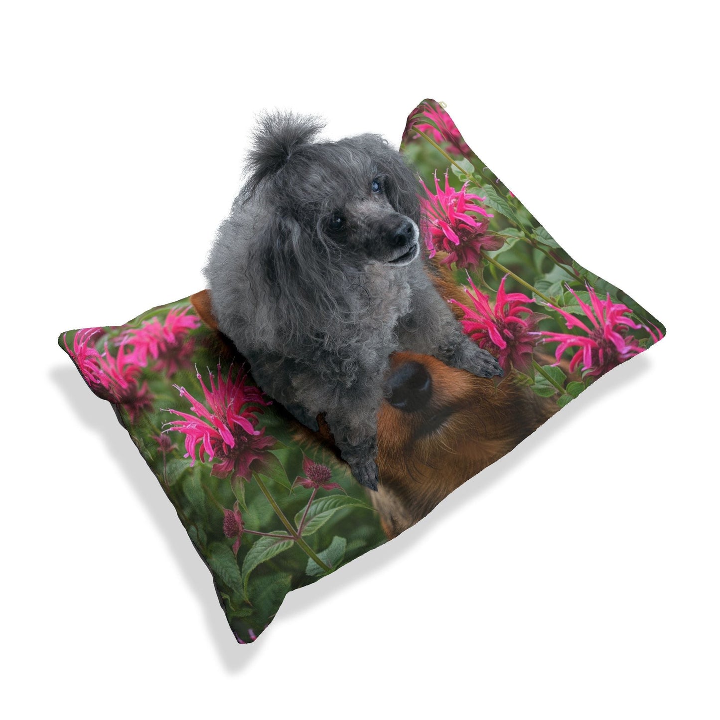 Lit pour animaux de compagnie – Lit douillet pour chien, 3 tailles disponibles