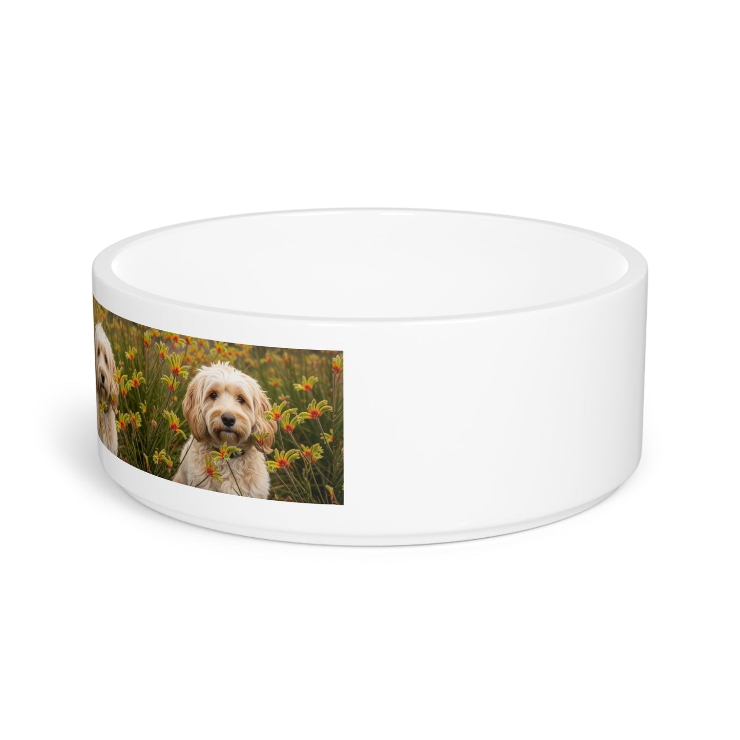 Ceramic Pet Bowl – 16 oz Dog Feeding Bowl