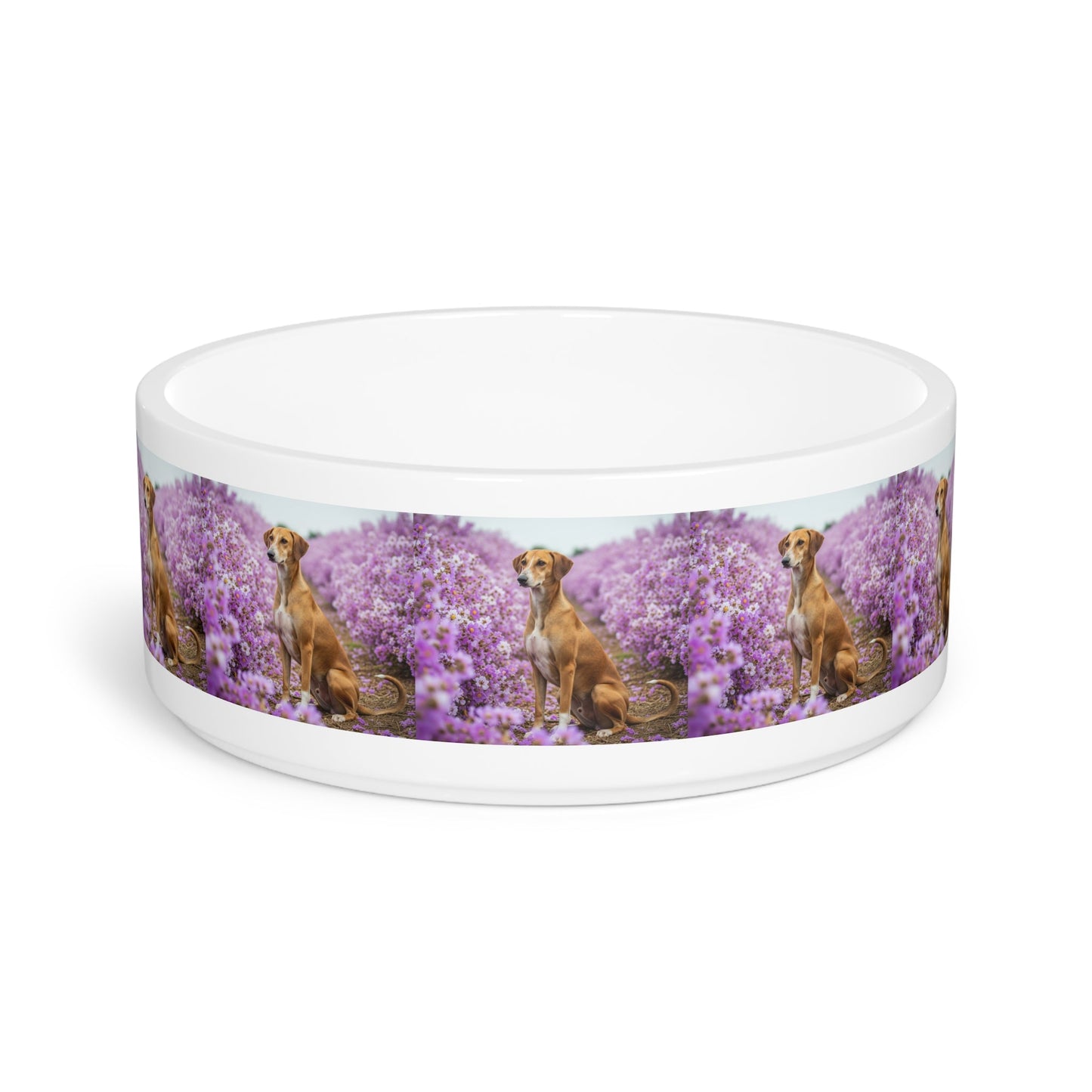 Ceramic Pet Bowl – 16 oz Dog Feeding Bowl