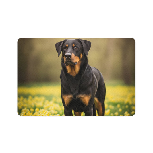 Non-Slip Pet Food Mat – Waterproof Feeding Mat for Dogs