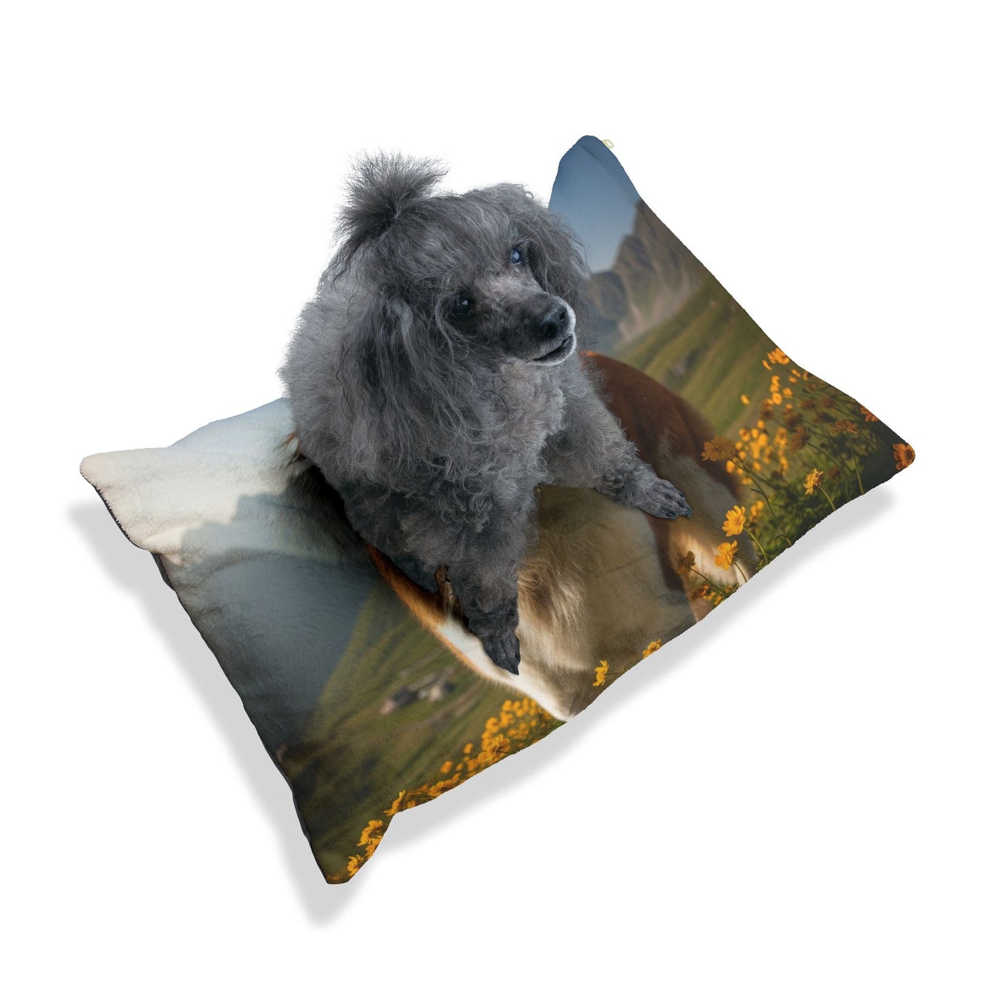 Haustierbett – Plüsch-Hundebett, 3 Größenoptionen