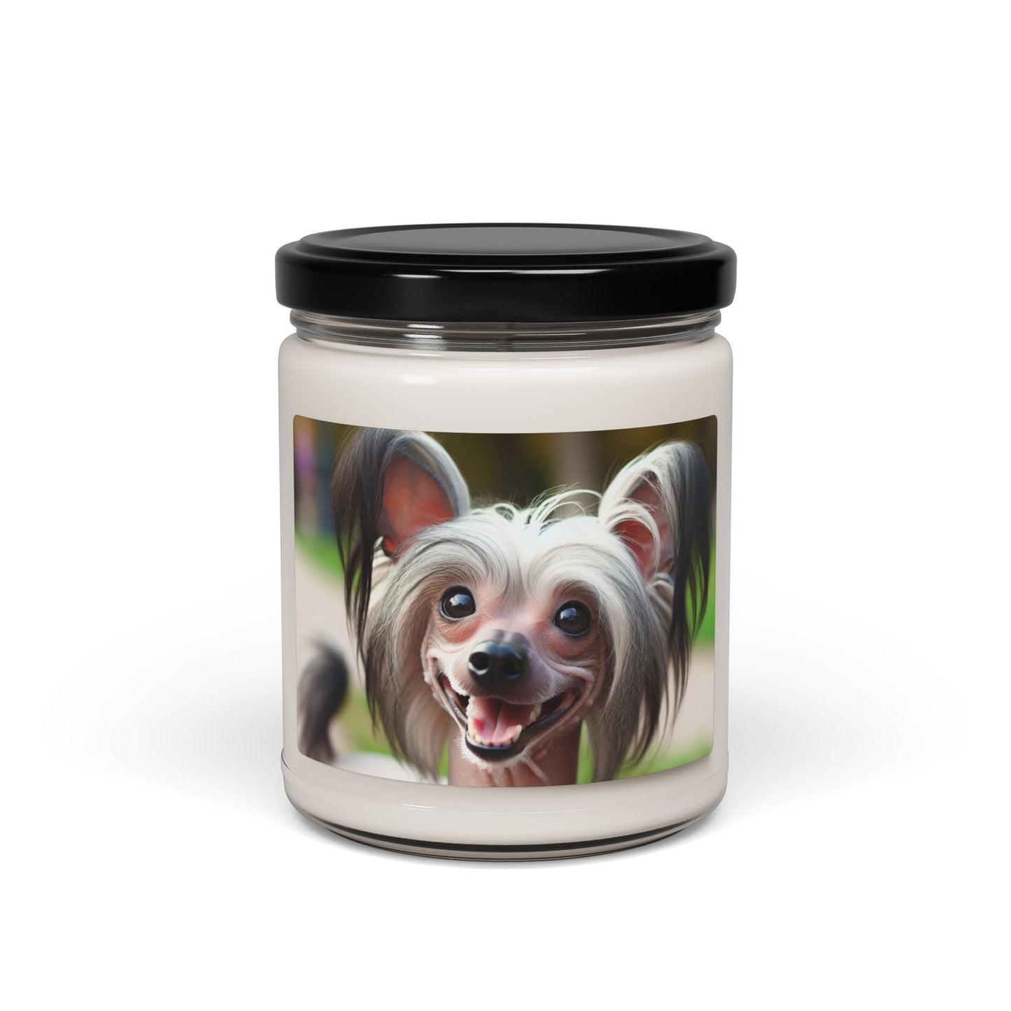Soy Candle – Scented Jar Candle