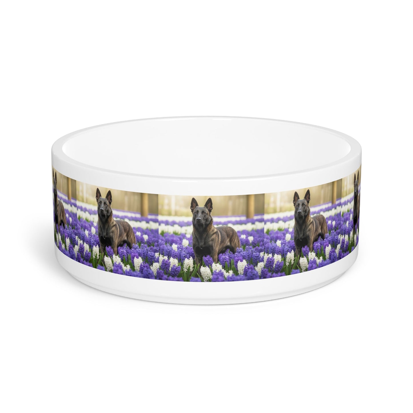 Ceramic Pet Bowl – 16 oz Dog Feeding Bowl
