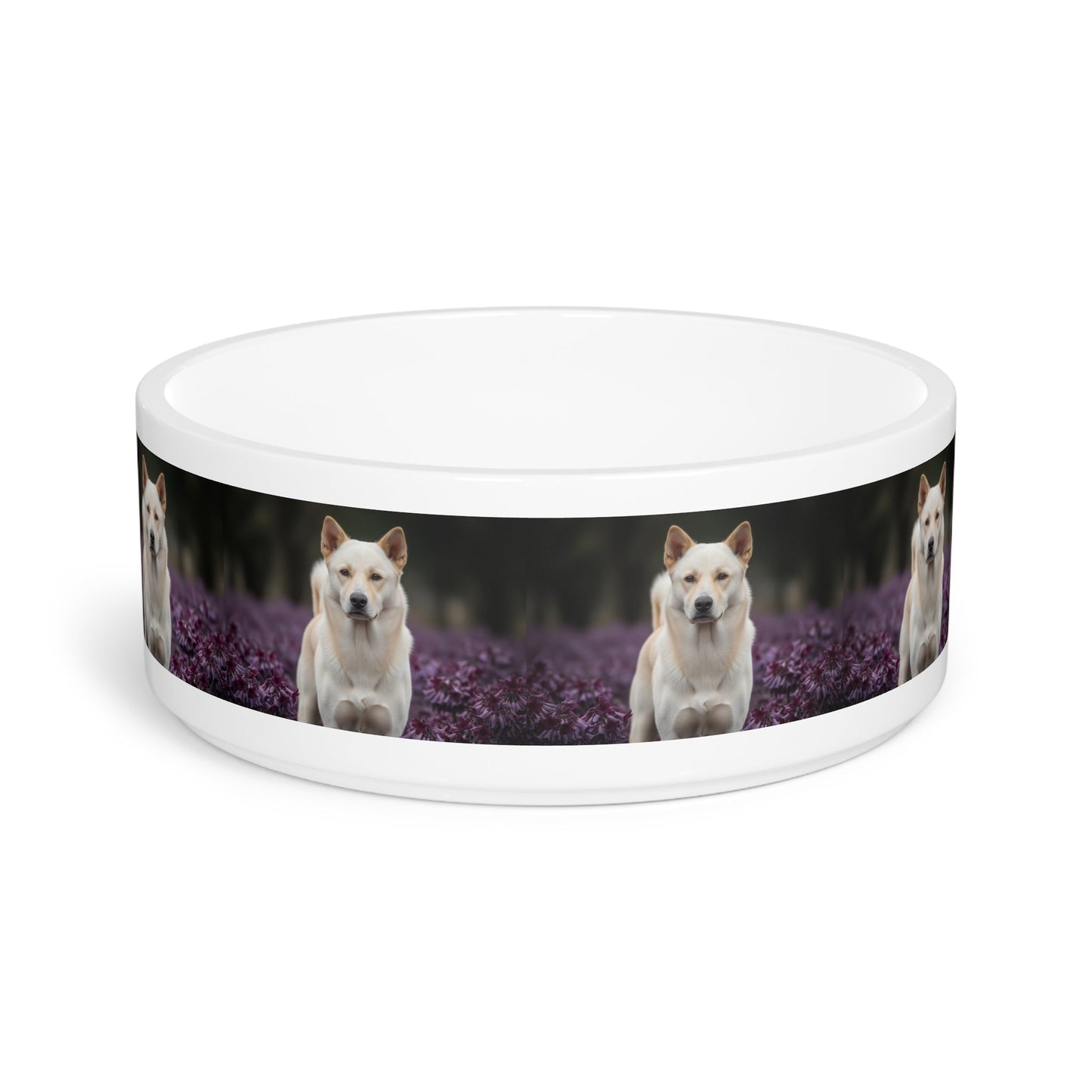 Ceramic Pet Bowl – 16 oz Dog Feeding Bowl