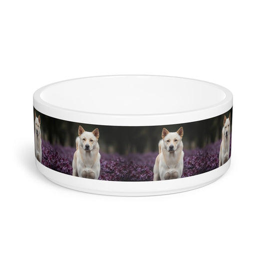 Ceramic Pet Bowl – 16 oz Dog Feeding Bowl