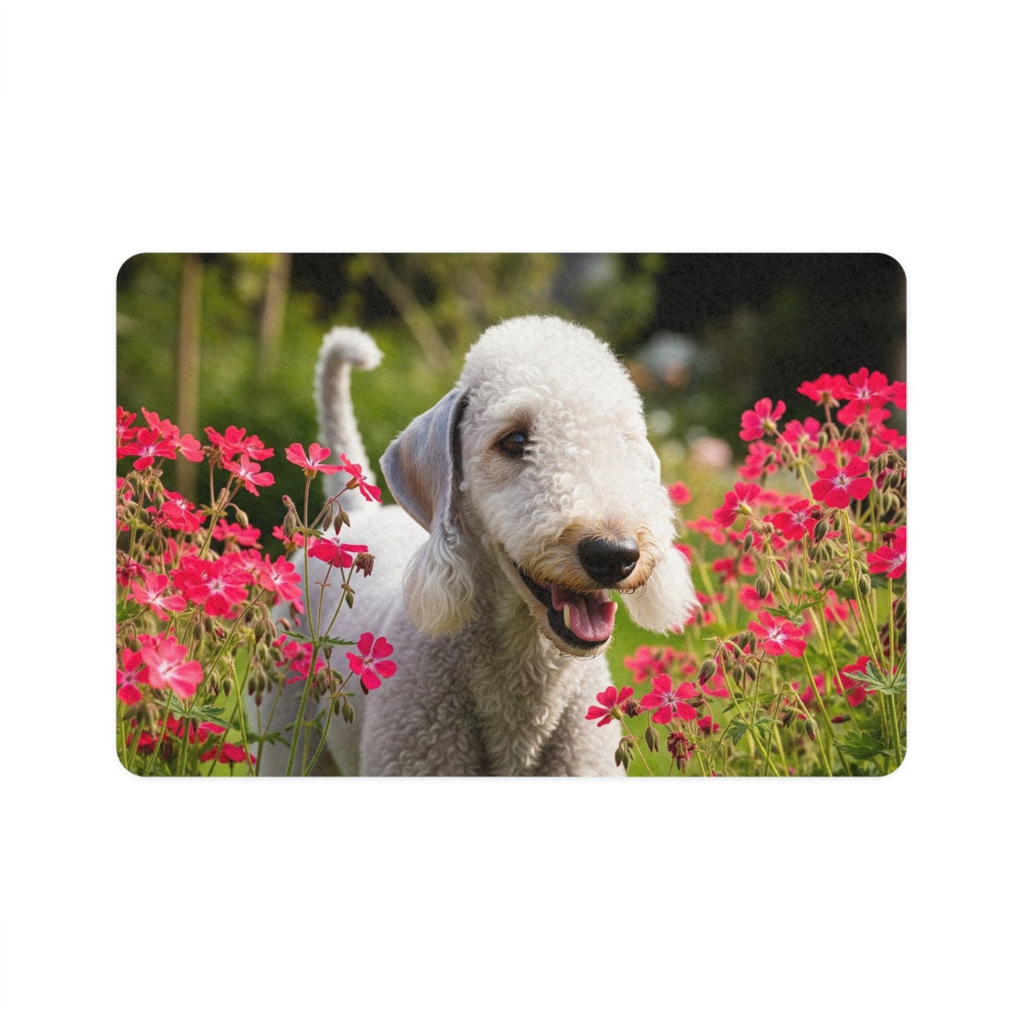 Non-Slip Pet Food Mat – Waterproof Feeding Mat for Dogs