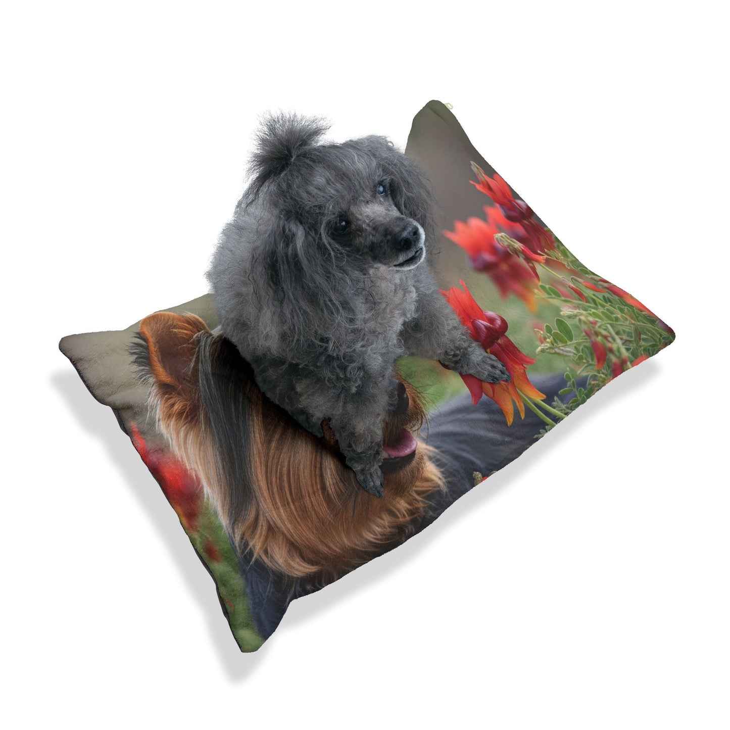 Pet Bed – Plush Dog Bed, 3 Size Options