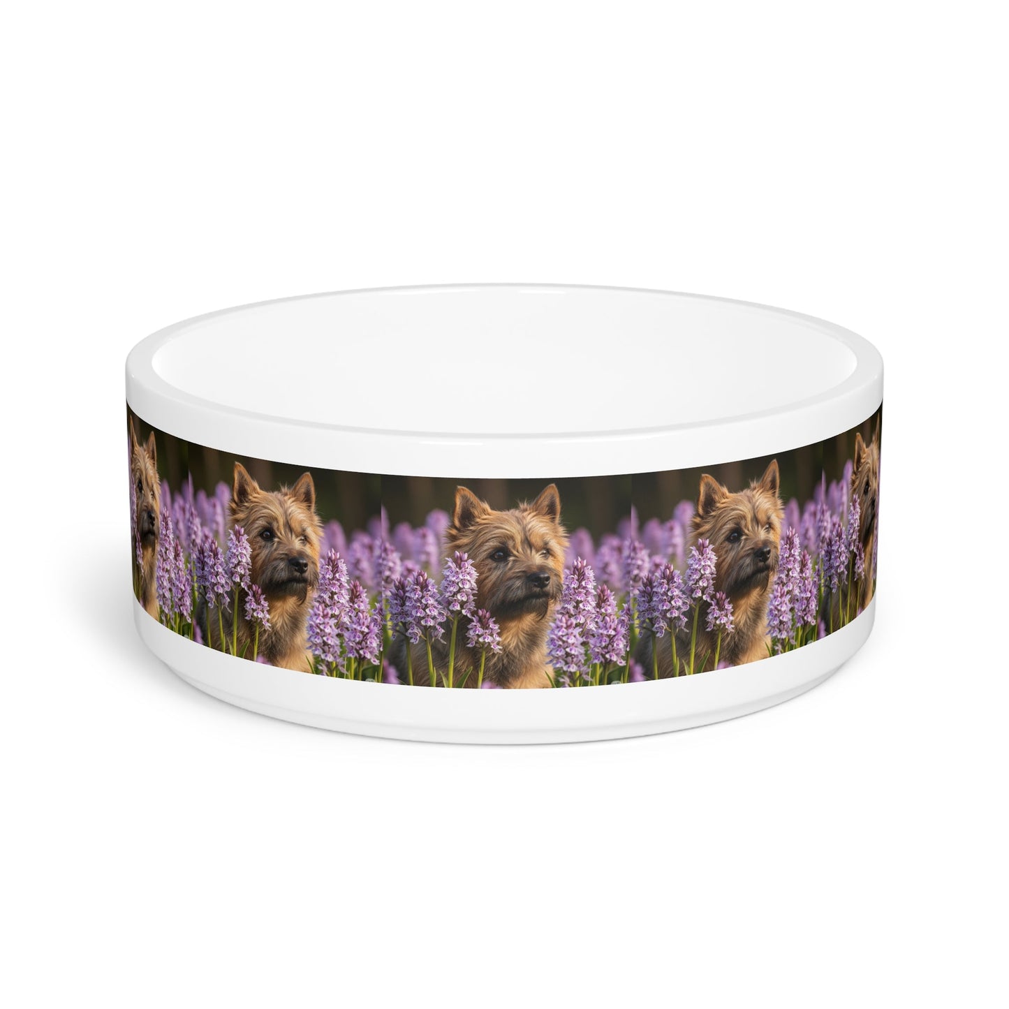 Ceramic Pet Bowl – 16 oz Dog Feeding Bowl