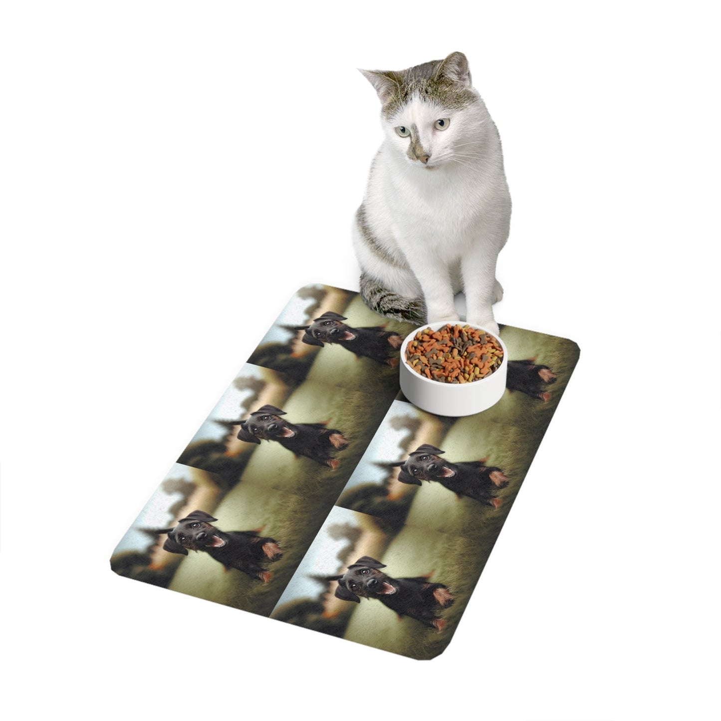 Tapis antidérapant pour animaux de compagnie – Tapis d'alimentation étanche pour chiens