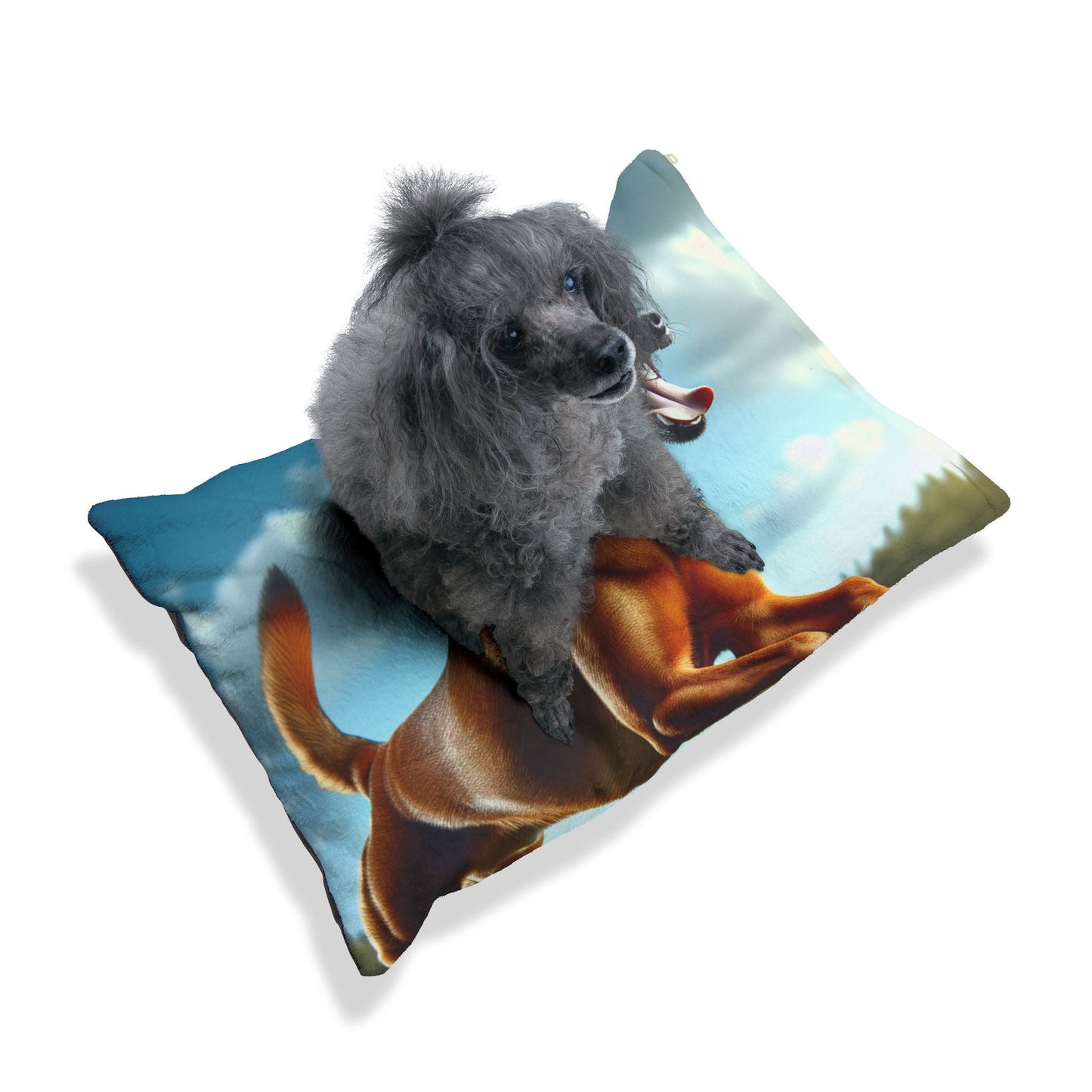 Lit pour animaux – Lit moelleux pour chien, 3 tailles disponibles