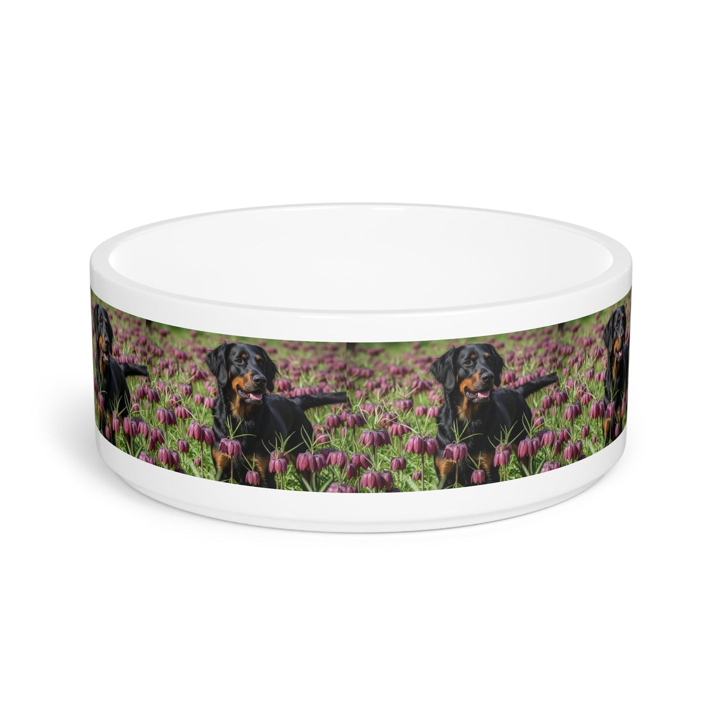 Ceramic Pet Bowl – 16 oz Dog Feeding Bowl