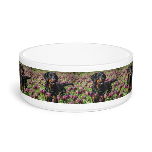 Ceramic Pet Bowl – 16 oz Dog Feeding Bowl