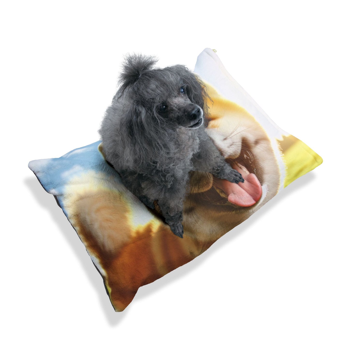 Pet Bed – Plush Dog Bed, 3 Size Options