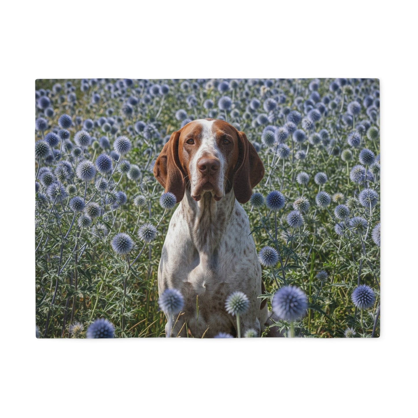 Sweatshirt Blanket – Plush Fleece Throw, 2 Size Options