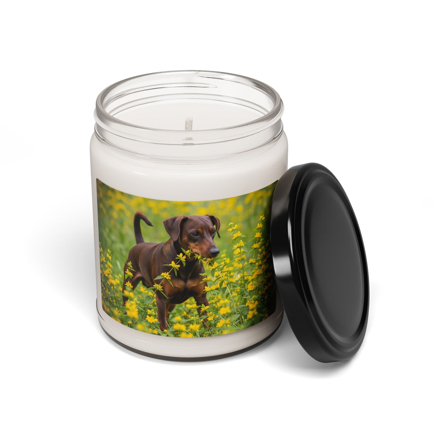 Soy Candle – Scented Jar Candle