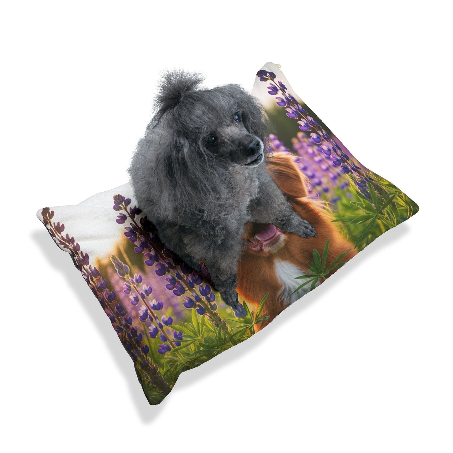 Pet Bed – Plush Dog Bed, 3 Size Options