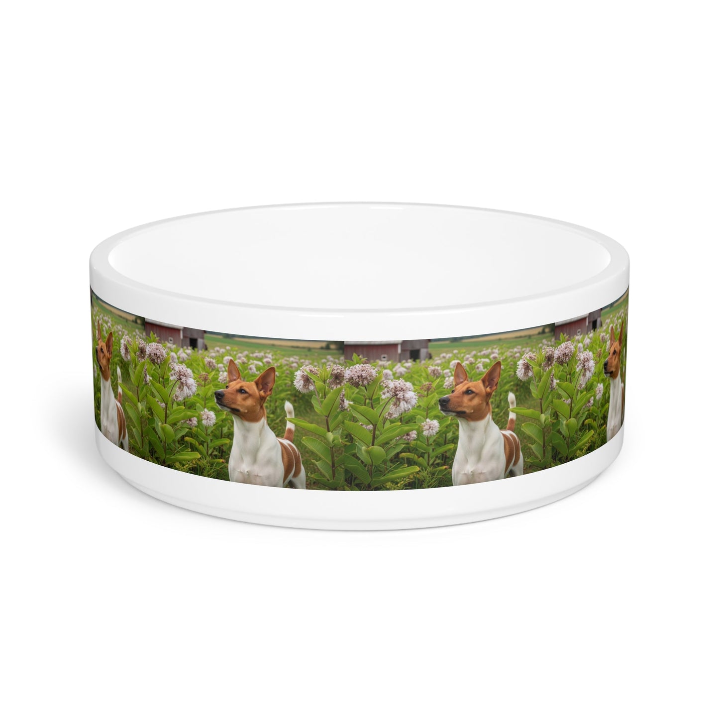 Ceramic Pet Bowl – 16 oz Dog Feeding Bowl