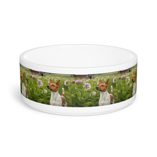 Ceramic Pet Bowl – 16 oz Dog Feeding Bowl