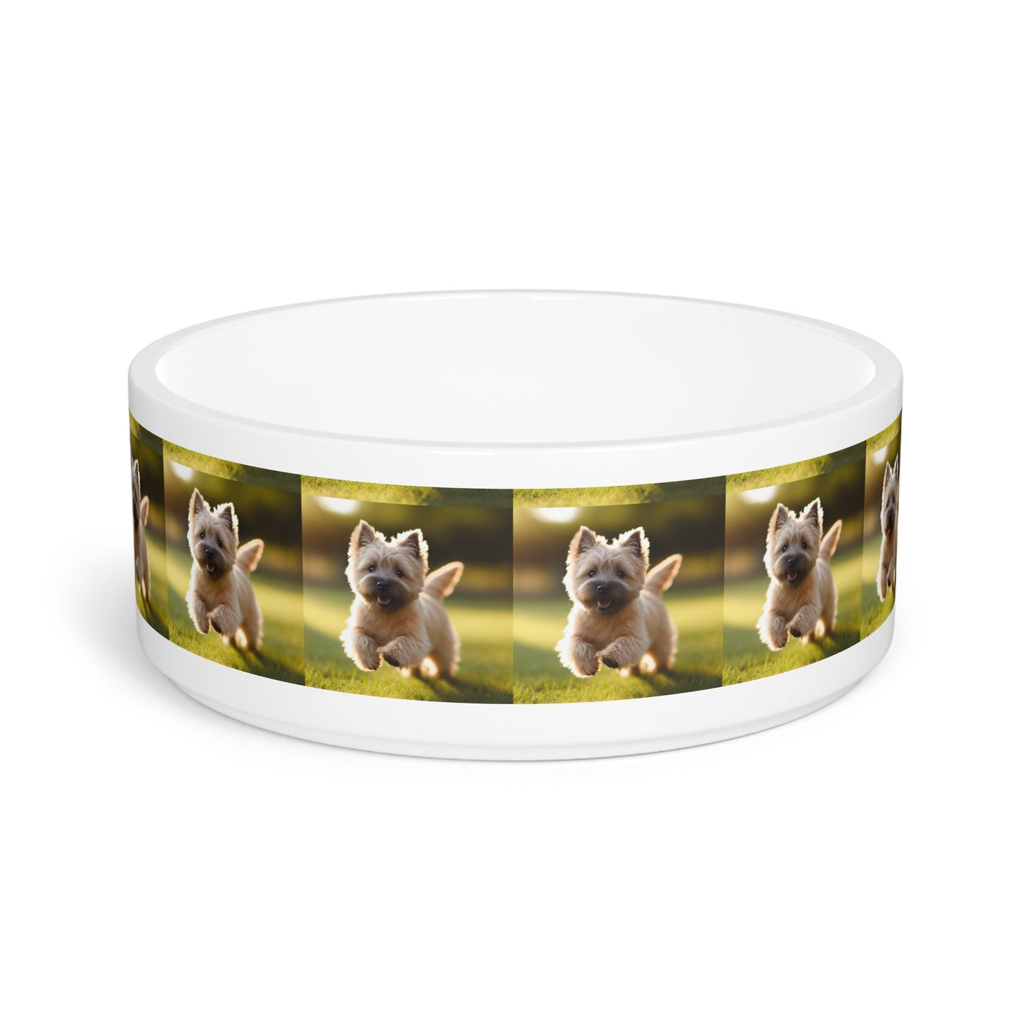Ceramic Pet Bowl – 16 oz Dog Feeding Bowl